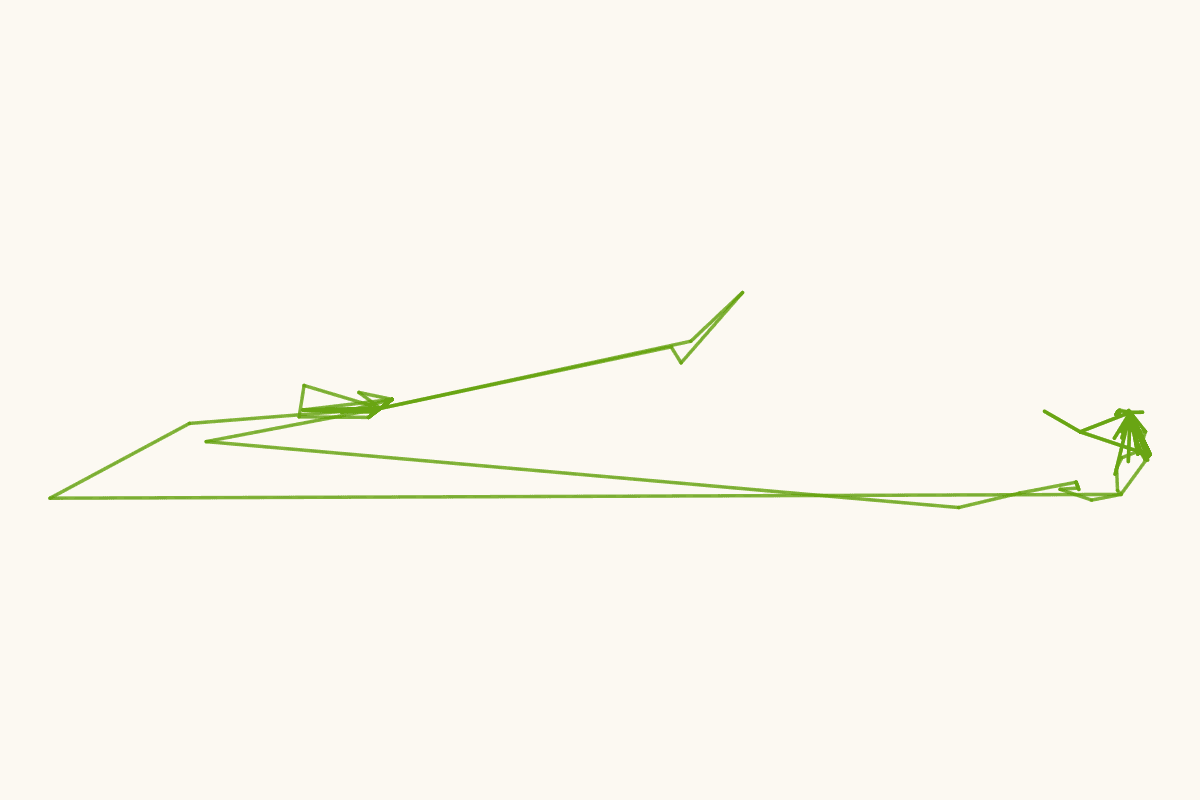 陈梦家先生行迹图（1911—1966）